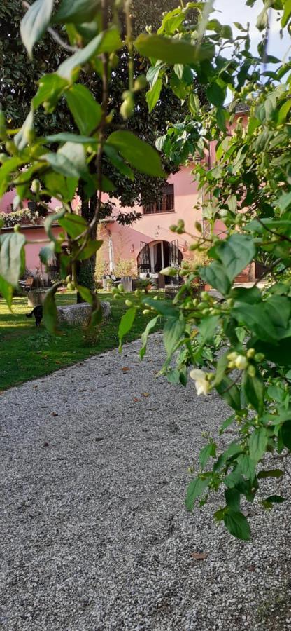 Residenza La Dimora Imperfetta Otel Salionze Dış mekan fotoğraf
