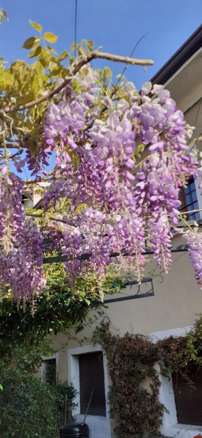 Residenza La Dimora Imperfetta Otel Salionze Dış mekan fotoğraf