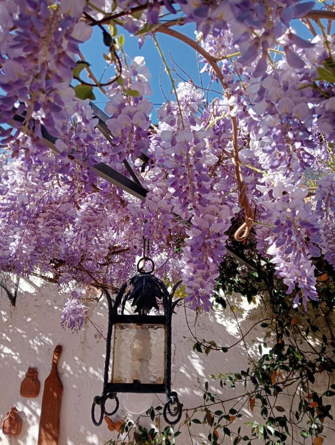 Residenza La Dimora Imperfetta Otel Salionze Dış mekan fotoğraf